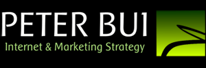Peter Bui Logo